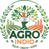 cropped logo.png